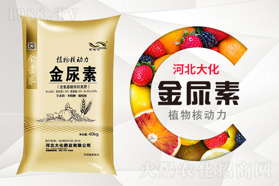 ���ص����ܲ������~��ʣ���ô����