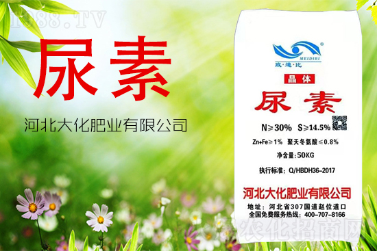 ���ص����ܲ������~�������ô����