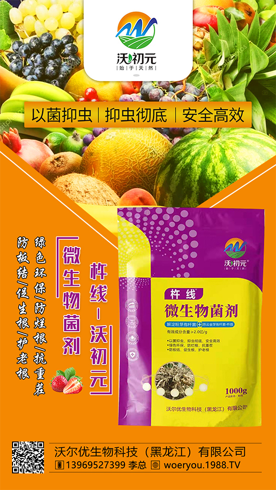 ����ĸ�ϵ���Q������Įa(ch��n)��