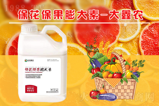 �ļ���������ٲ�������α��������