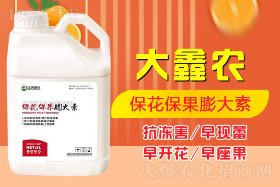 �ļ���������ٲ�������α��������