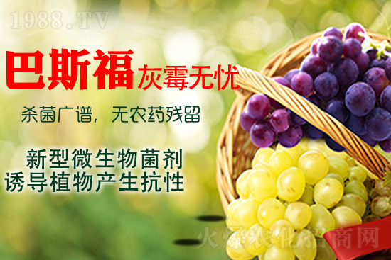 ���ѻ�ù��ԓ��ν�Q����ù����ˎ���h��