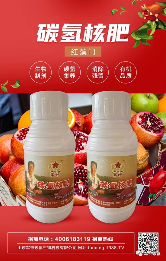 ɽ�|܊��̼?x��)�����Ƽ����޹��?2