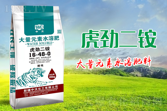 �½����ֻ������޹�˾5