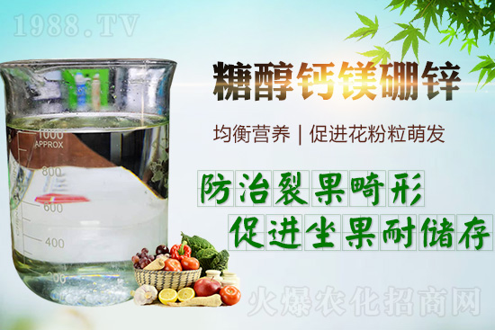     �����_���������ж���Ҫ���_�������ڵ����c��������