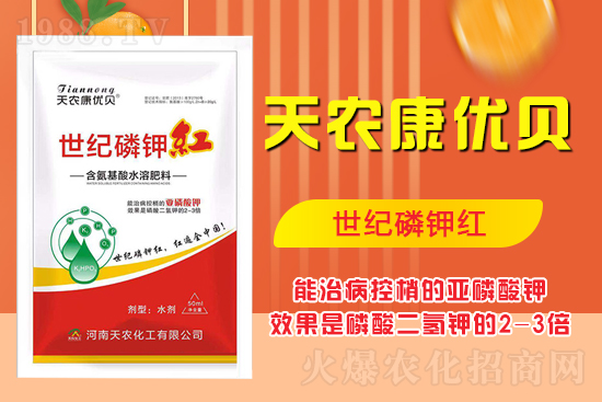 ���������ʲô���������˽����