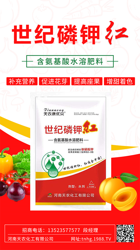 ���������ʲô���������˽����