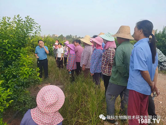 ���M(j��n)���g���^���������ٮa(ch��n)�I(y��)