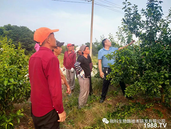 ���M(j��n)���g���^���������ٮa(ch��n)�I(y��)