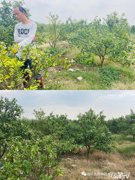 ���M(j��n)���g���^���������ٮa(ch��n)�I(y��)