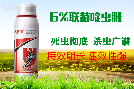 �������x���l(f��)�l��������ע����ǰ�������ׂ������p�ɸ㶨��