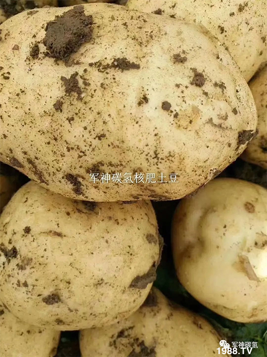 山東軍神碳氫生物科技有限公司27