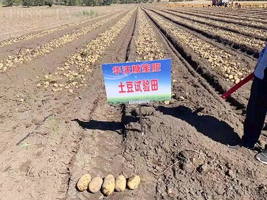 這款糖蜜肥農(nóng)資圈瘋傳!原料天然,低成本高肥效開創(chuàng)者!