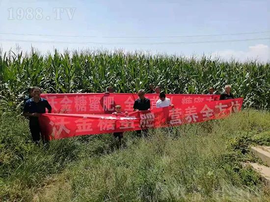 這款糖蜜肥農(nóng)資圈瘋傳!原料天然,低成本高肥效開創(chuàng)者!