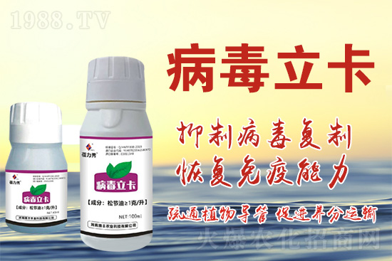 �ƽ�ֲ�ﲡ�������y�}�����ٻ֏�(f��)���C���@��ˎ���Ͼ͹�����