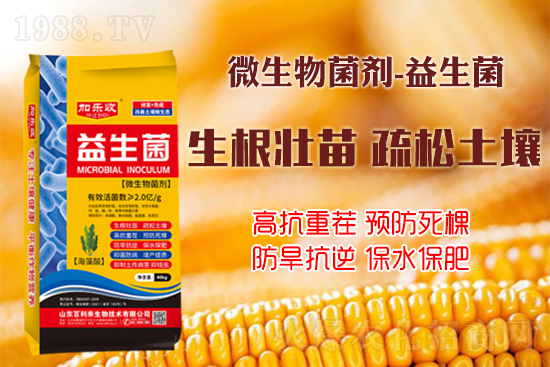 作物如何生根壯根、長勢更茂盛?學(xué)會這些事半功倍!