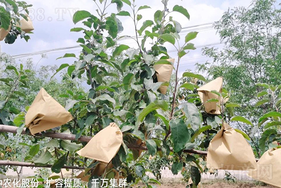     ����(sh��)�״���ɜp���r(n��ng)ˎ���������ƹ��ӵ����^Ʒ�|(zh��)���ɴ����߹�Ʒ�u�࣬�����׳��۲��u���߃r(ji��)�����Թ����״�Ŀǰ��Ȼ���҇�(gu��)���@����Ҫ�����������״��O��������Ǻ���Ҳ�ٲ�����