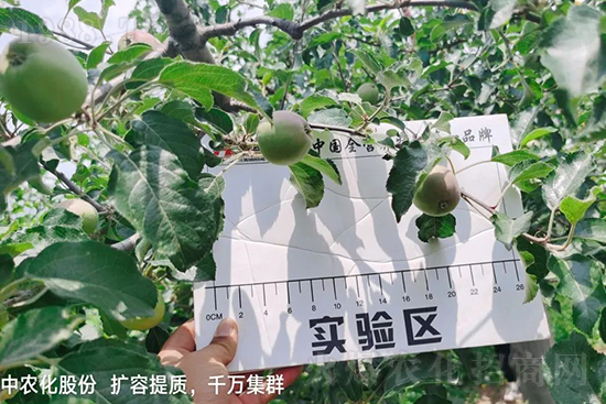     ����(sh��)�״���ɜp���r(n��ng)ˎ���������ƹ��ӵ����^Ʒ�|(zh��)���ɴ����߹�Ʒ�u�࣬�����׳��۲��u���߃r(ji��)�����Թ����״�Ŀǰ��Ȼ���҇�(gu��)���@����Ҫ�����������״��O��������Ǻã�Ҳ�ٲ�����