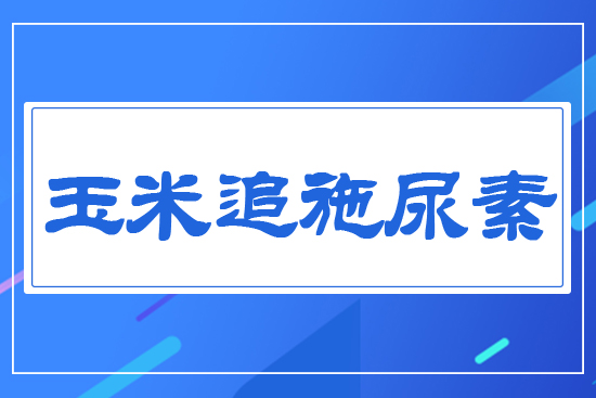 ����׷��