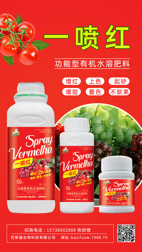 ����(sh��)�D(zhu��n)ɫ����������������������u�r(ji��)�ߣ���ǰ������