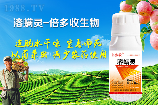 �ļ������~�����l(f��)��ô�k�������~����(y��ng)ԓ���ӷ�����