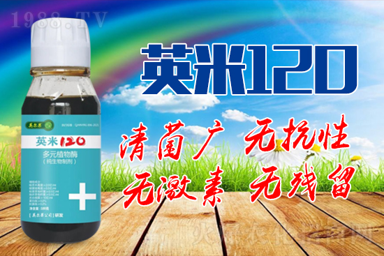 ��轰׷۲��İY����ʲô����轰׷۲����η�����