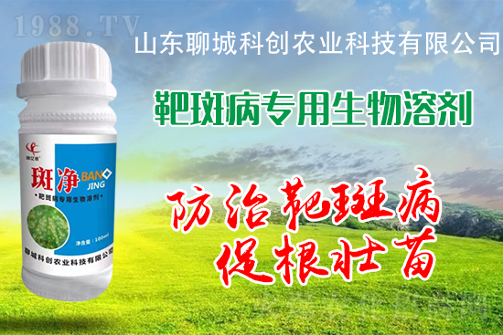 �S�ϰа߲�Σ��������������δ�ʩ����Щ��