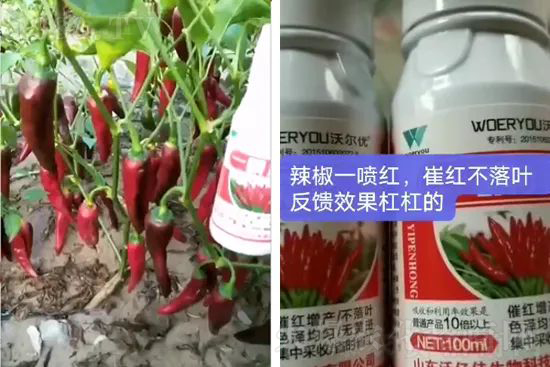 ���t�����95%���߼t�����~�����뷭�׷�����������һ���t��