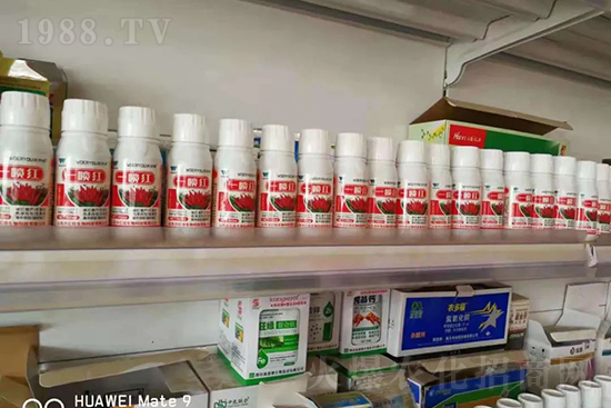 ���t�����95%���߼t�����~�����뷭�׷�����������һ���t��