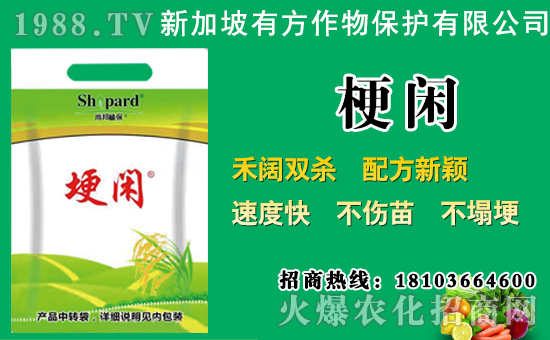 ���݄�ԭˎ�r��