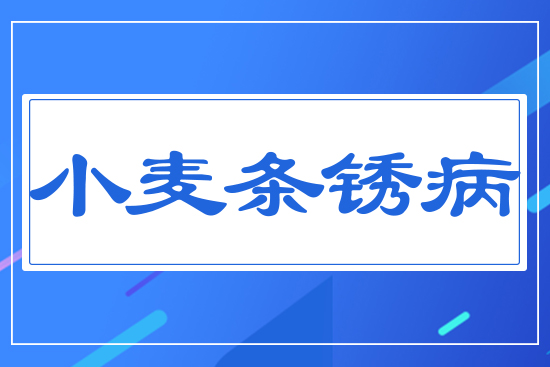 С���l�P��