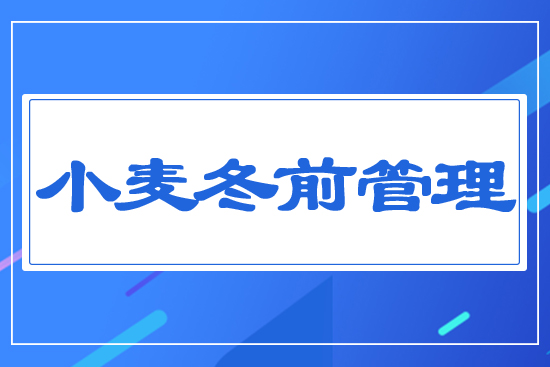 С����ǰ����