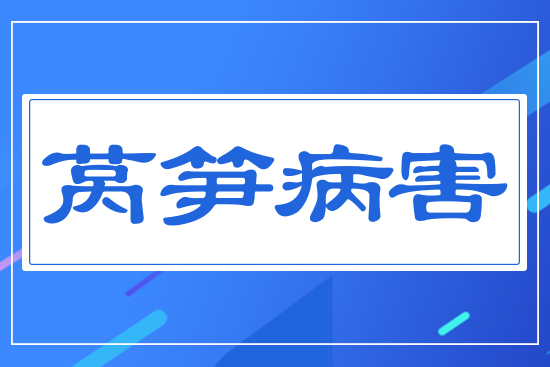 ���n�S����