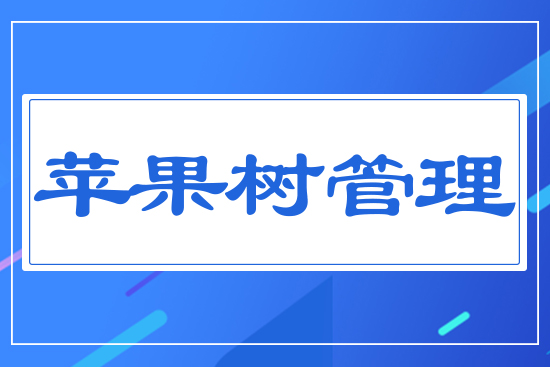 �O�������