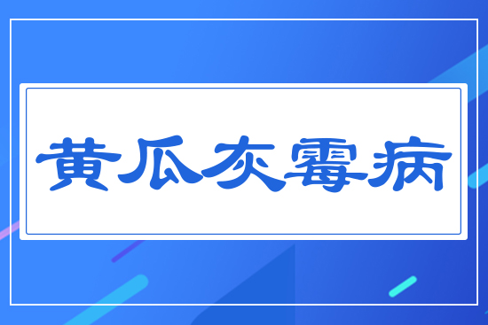 �S�ϻ�ù��