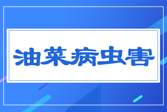 �Ͳ˲��x��