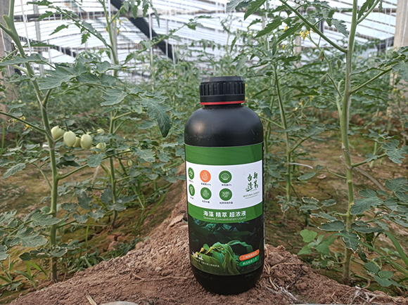 ƿ�b���徫�ͳ���Һ-�_����ѿ2