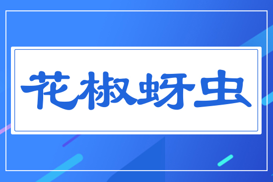 �������x(ch��ng)