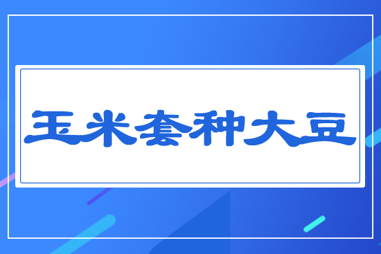 �����׷N��