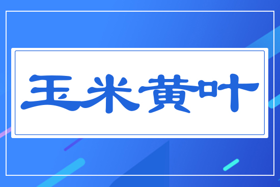 �����S�~