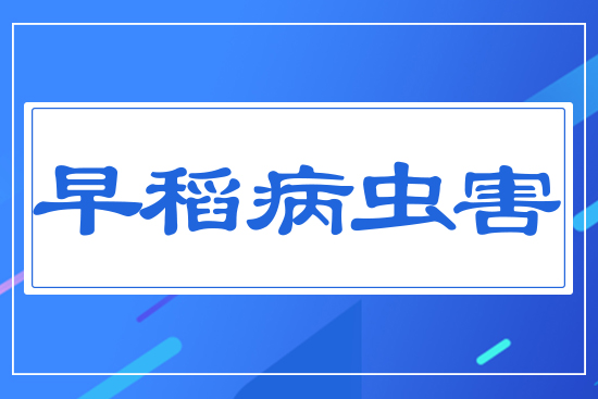 �絾���x��