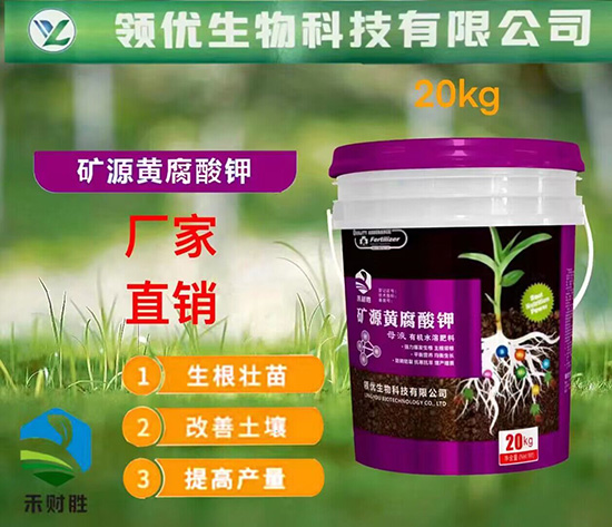 QQ�DƬ20230721172520