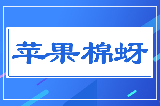 �O������