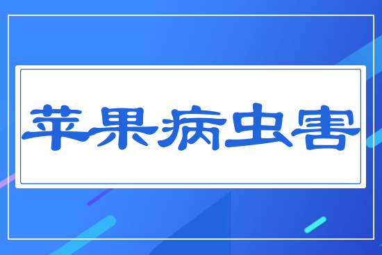 �O(p��ng)�����x(ch��ng)��