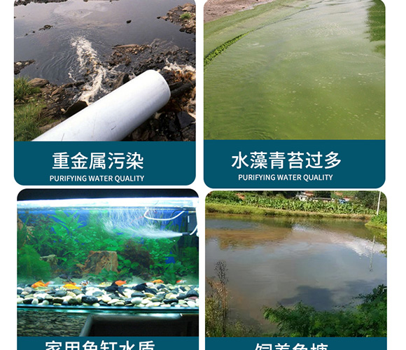 ��(r��n)�ɵ׸ă�ˮ��-��(r��n)������_04