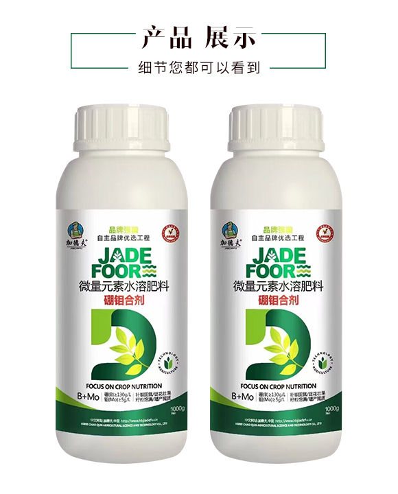 �ӱ���Ⱥ�r(n��ng)�I(y��)�Ƽ����޹�˾_04