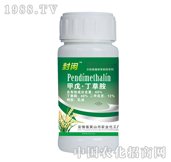 60%���춡�ݰ�-���e-�{(l��n)���r(n��ng)�I(y��)