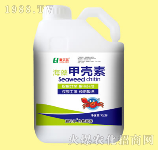 ����ך���-嫘���