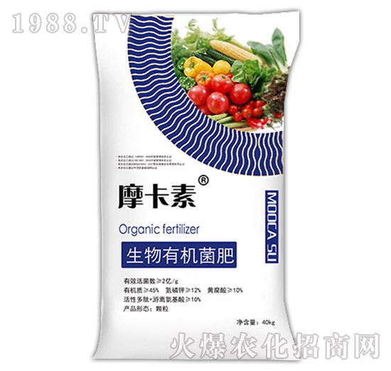 �����ЙC(j��)����-Ħ����-��(qi��ng)о��(gu��)�H