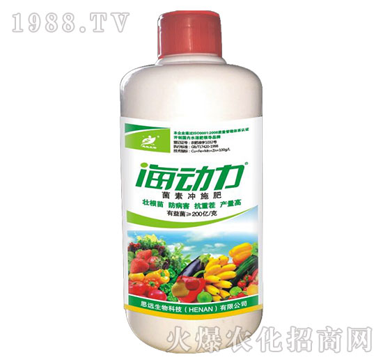 ������-���؛_ʩ��-˼�h����